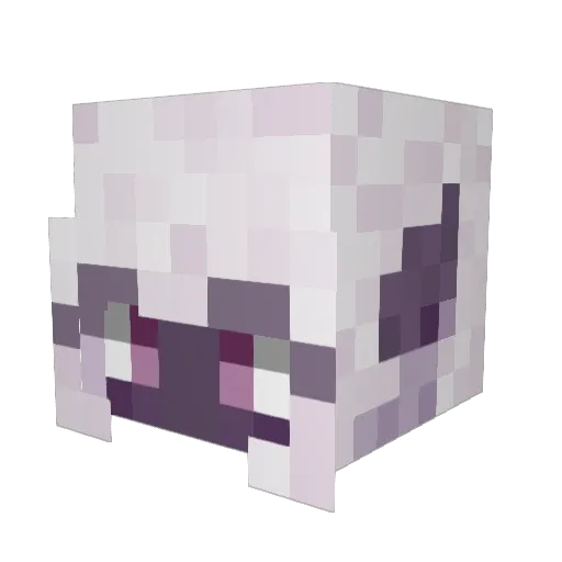 SoupyOfWaterdeep Minecraft avatar head, 3D render