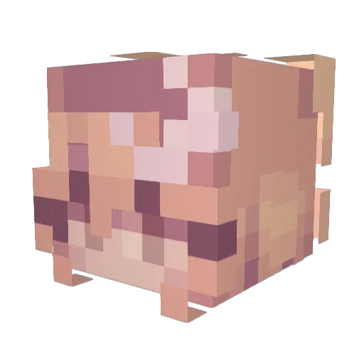 SoupySophieee Minecraft avatar head, 3D render