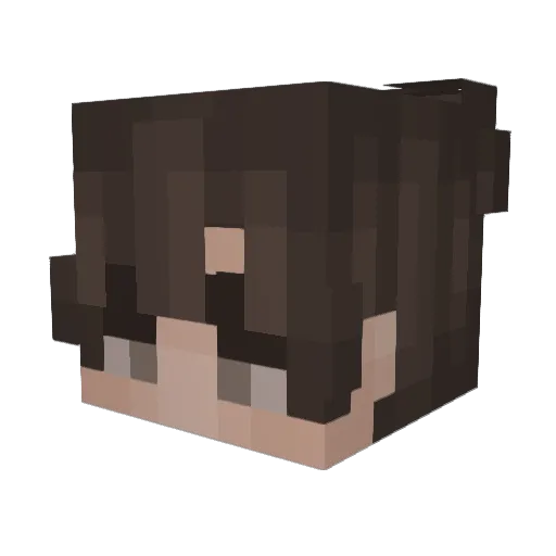 SoupyTofu Minecraft avatar head, 3D render