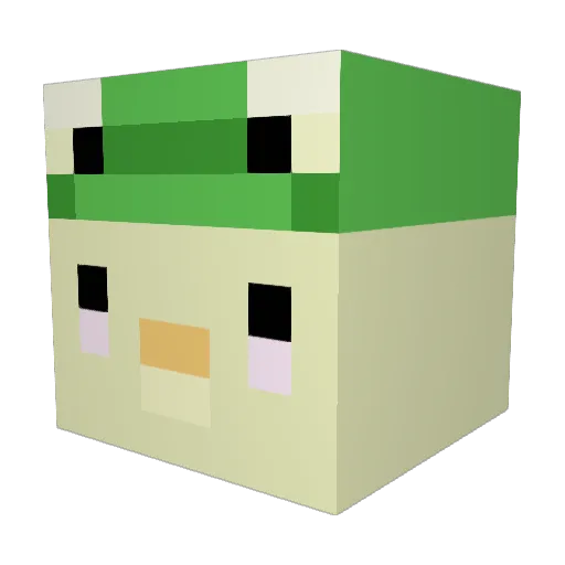 Soupyjustsoupy Minecraft avatar head, 3D render