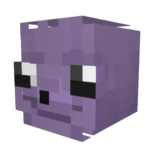 Soupz_Can Minecraft avatar head, 3D render