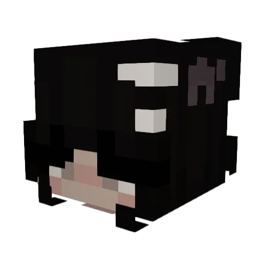 SourAndyy Minecraft avatar head, 3D render
