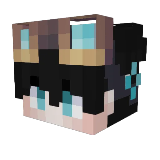 SourFlyer Minecraft avatar head, 3D render