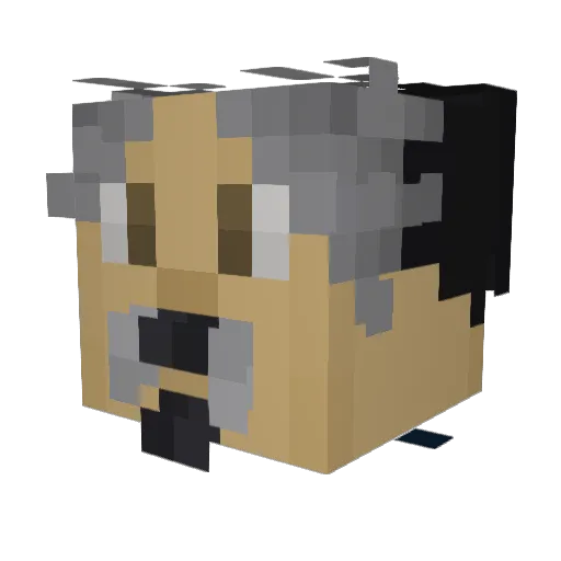 SourFruitPunch Minecraft avatar head, 3D render