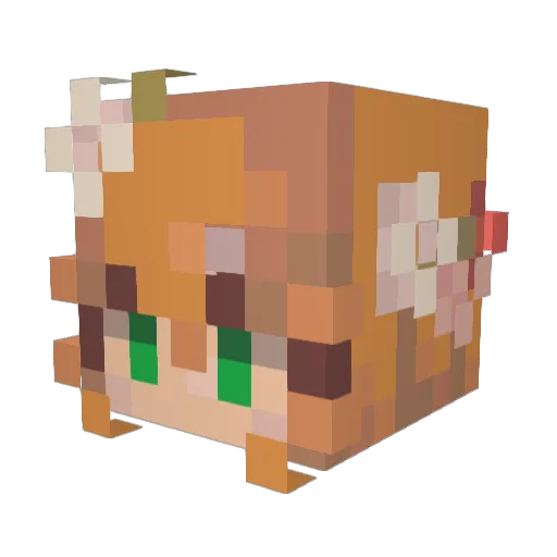 SourLemon327 Minecraft avatar head, 3D render