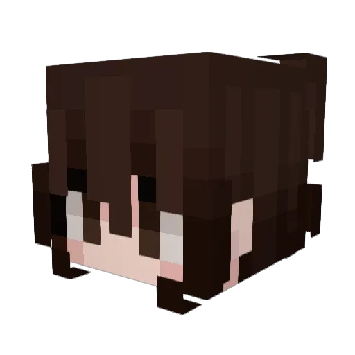 SourLemon404 Minecraft avatar head, 3D render