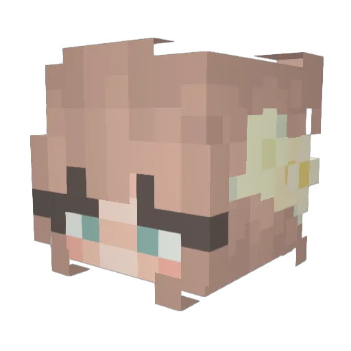 SourLemonnn_ Minecraft avatar head, 3D render