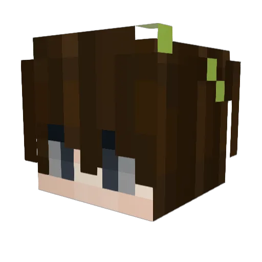 SourMayo Minecraft avatar head, 3D render