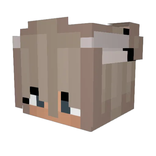 SourPickle4851 Minecraft avatar head, 3D render