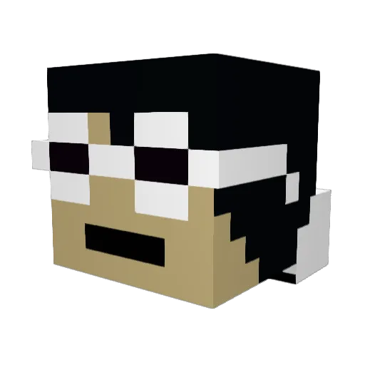 SourPqtch10 Minecraft avatar head, 3D render