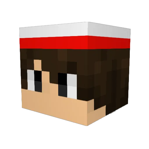 SourPunch Minecraft avatar head, 3D render