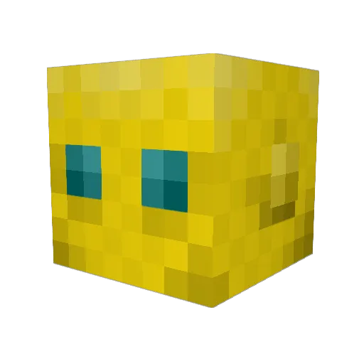 SourShake Minecraft avatar head, 3D render