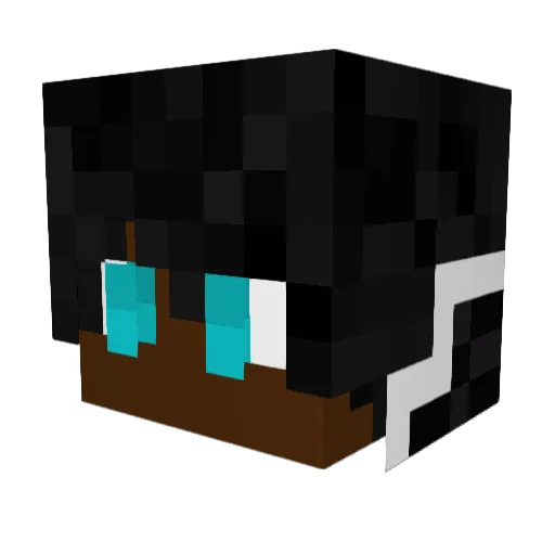 Sour_FL Minecraft avatar head, 3D render