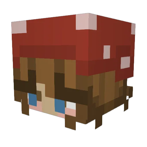 Sourappl3s Minecraft avatar head, 3D render