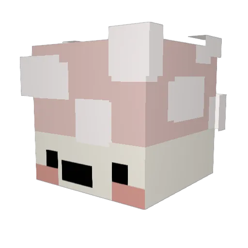 Sourbuun Minecraft avatar head, 3D render