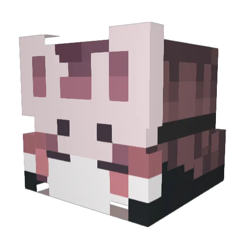 SourceKatalyst Minecraft avatar head, 3D render