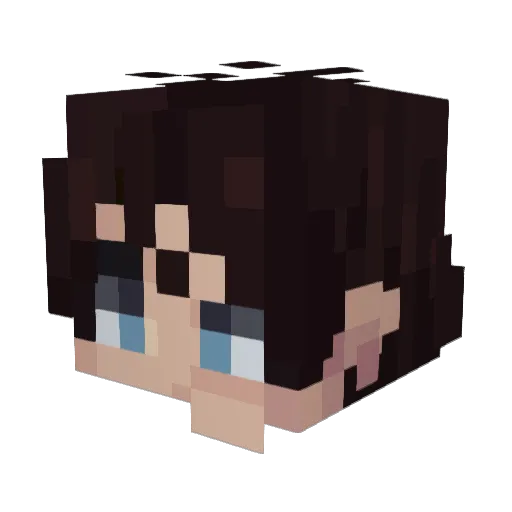 SourceRyan Minecraft avatar head, 3D render