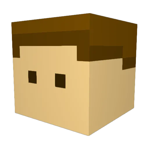 SourceWall Minecraft avatar head, 3D render