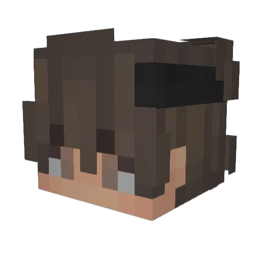 SourceeDevv Minecraft avatar head, 3D render