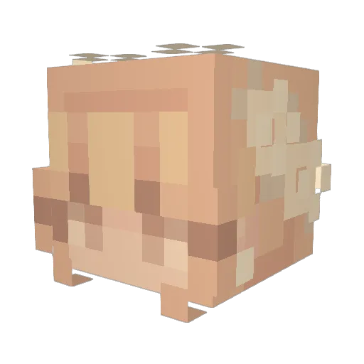 SourdoughGold Minecraft avatar head, 3D render