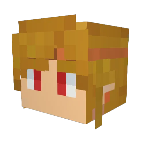 SourishCandle69 Minecraft avatar head, 3D render