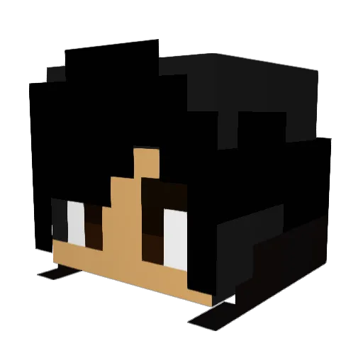 SourishCanoe88 Minecraft avatar head, 3D render