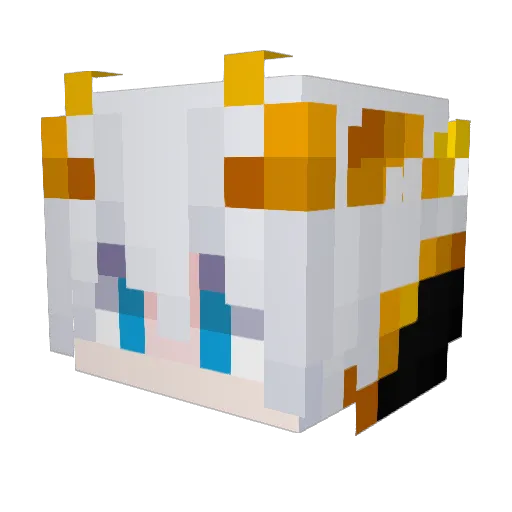Sourne Minecraft avatar head, 3D render