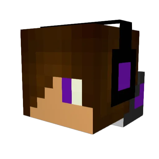 Sourpoptarts45 Minecraft avatar head, 3D render