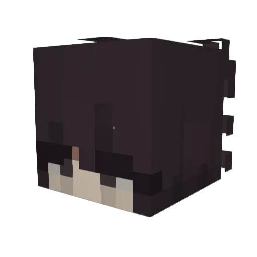 Sourr Minecraft avatar head, 3D render