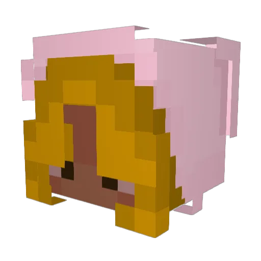 SourrJoii Minecraft avatar head, 3D render
