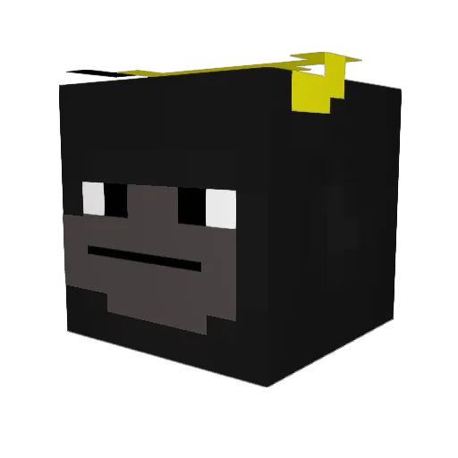 Sourrce Minecraft avatar head, 3D render