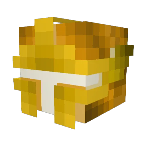 Sourthene Minecraft avatar head, 3D render