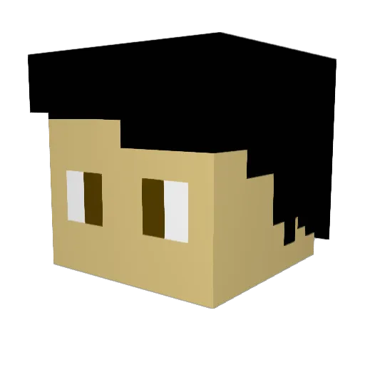 Sousaa1906 Minecraft avatar head, 3D render