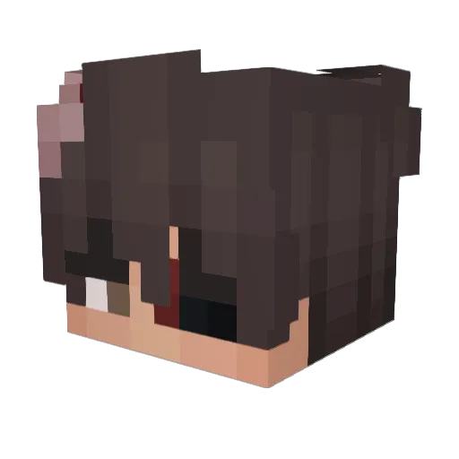 SouthTM Minecraft avatar head, 3D render