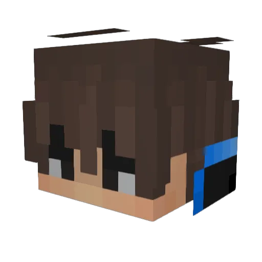 South_FN Minecraft avatar head, 3D render