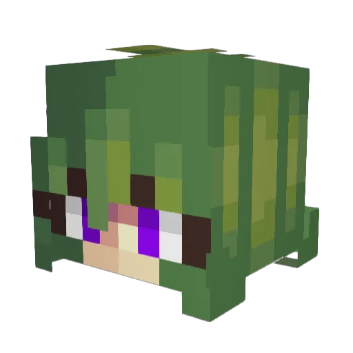 SouthernCece Minecraft avatar head, 3D render
