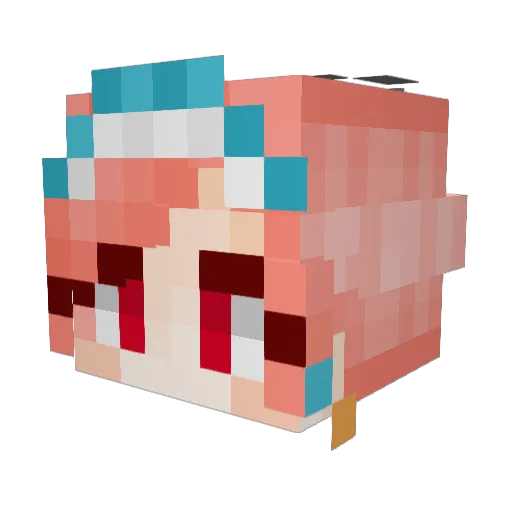 SouthernSwamp Minecraft avatar head, 3D render