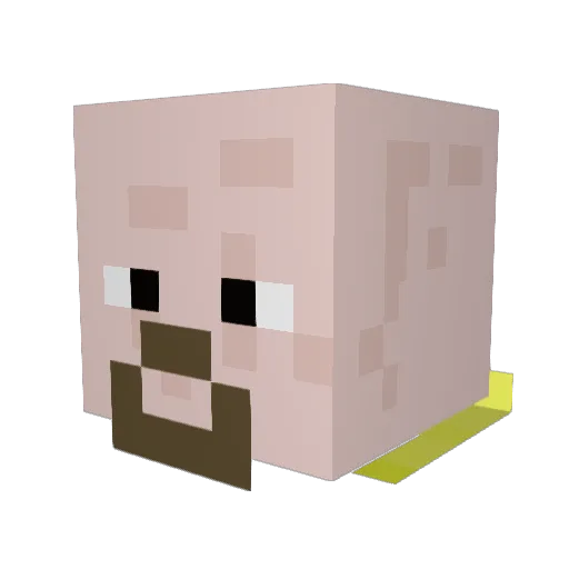Southernodd2919 Minecraft avatar head, 3D render