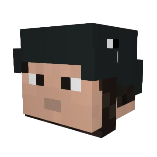 Southtwig21 Minecraft avatar head, 3D render