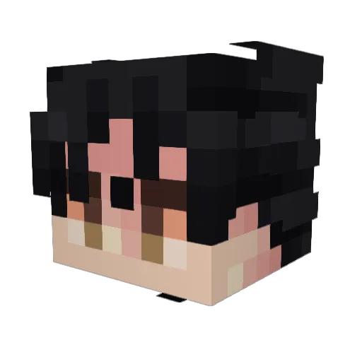 Sove1 Minecraft avatar head, 3D render