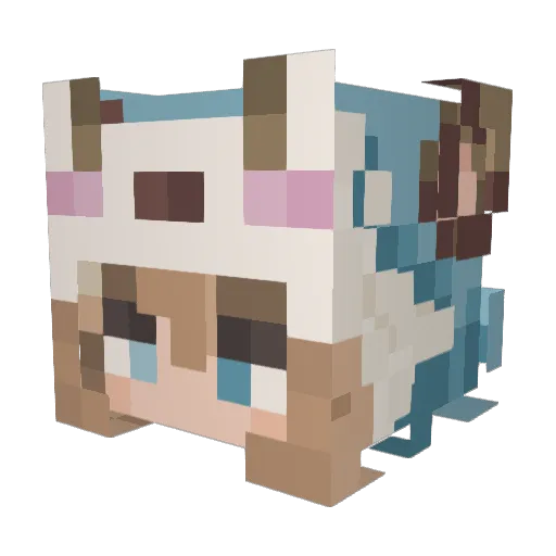 Sovelyn Minecraft avatar head, 3D render