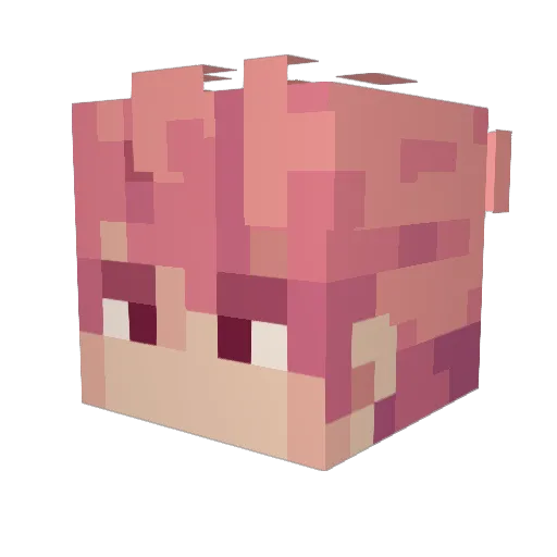 SovereignDrop7 Minecraft avatar head, 3D render