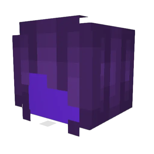 SoverignRK Minecraft avatar head, 3D render