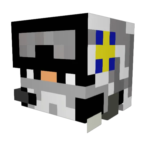 Sovsen123 Minecraft avatar head, 3D render