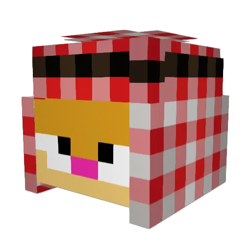 Sowayn2 Minecraft avatar head, 3D render