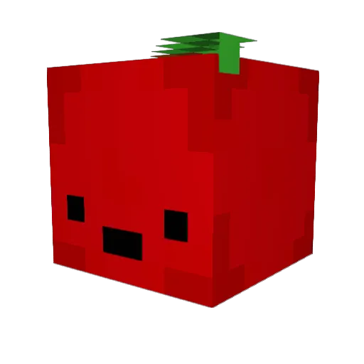 Sowballs Minecraft avatar head, 3D render