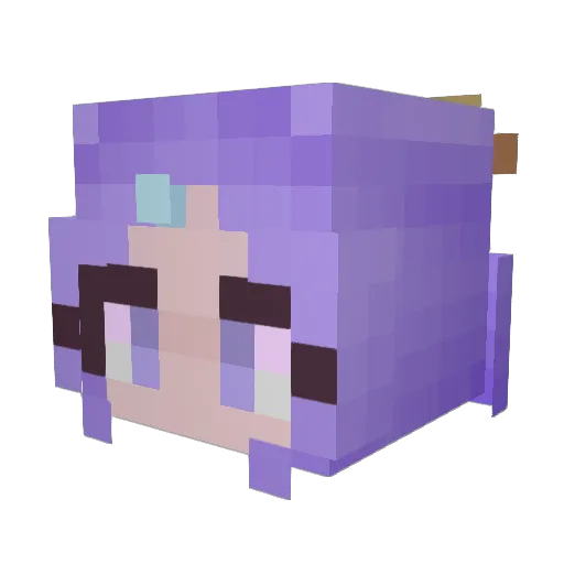 SowenD4 Minecraft avatar head, 3D render