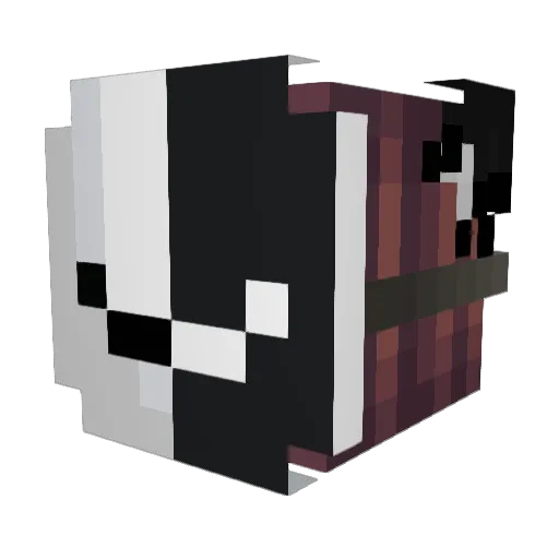 Sowerz_wally Minecraft avatar head, 3D render