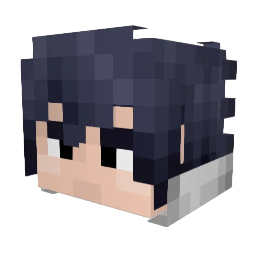 Sownie Minecraft avatar head, 3D render