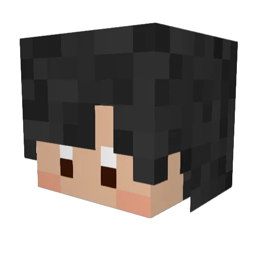 Soy3oy Minecraft avatar head, 3D render